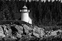 Little River Light is Surrounded by Evergreens in Maine -BW